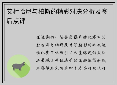 艾杜哈尼与柏斯的精彩对决分析及赛后点评