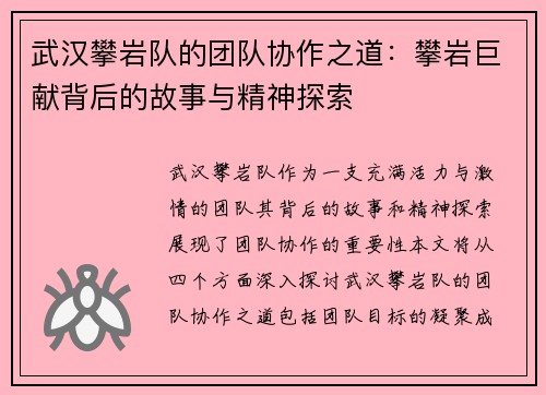武汉攀岩队的团队协作之道:攀岩巨献背后的故事与精神探索